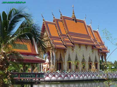 temple bouddiste de  Boput, Koh Samui, Un temple trs calme sur la route centrale de Samui. Quand bien mme beaucoup de temples se ressemblent, chacun d'eux a sa propre personnalit et son histoire. Les maisons des moines  ct des temples sont souvent dignes d'intrt, certaines d'entre elles tant de style ancien. L'endroit est gnralement trs tranquille,  moins qu'il n'y ait une crmonie ou un festival. Dans tous les cas, vous apprcierez l'ombre apporte par de gigantesques arbres trs gs. 